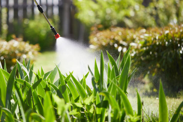 Tamper-Resistant Bait Stations for Rodents in Hanceville