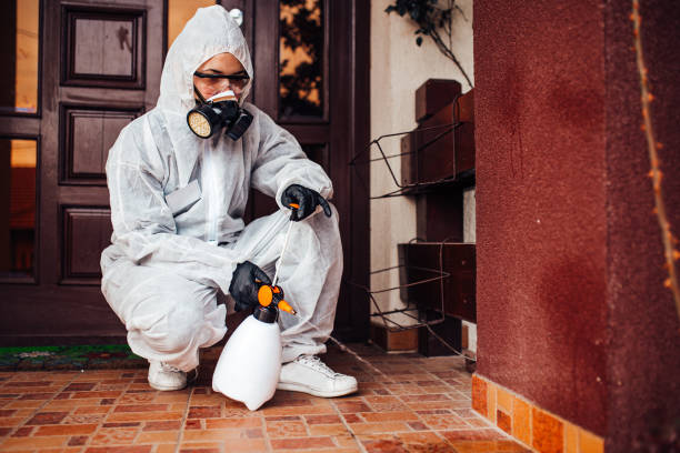 Attic and Crawl Space Rodent Treatment in Hanceville