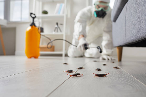 Commercial Rodent Management in Hanceville